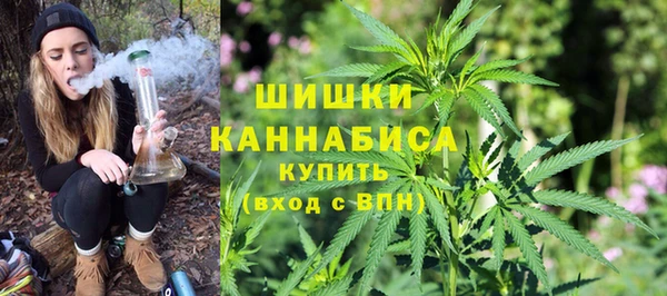 spice Арсеньев