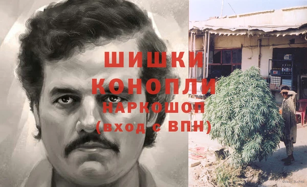 бошки Аркадак