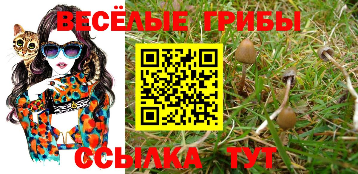 Псилоцибиновые грибы MAGIC MUSHROOMS Кирово-Чепецк