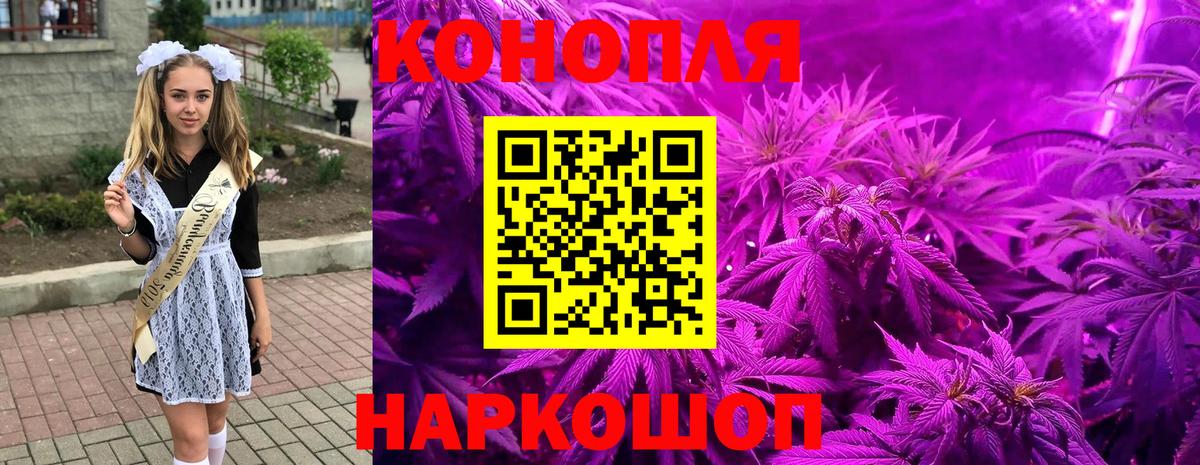 Конопля AK-47  Вход с VPN  Конопля индика  Бошки марихуана план  Кирово-Чепецк 